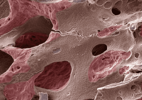 Scanning electron microscope SEM testing lab
