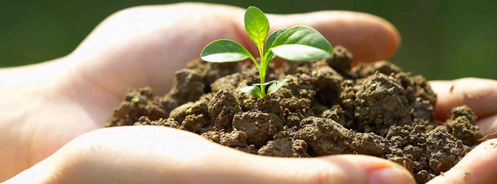 “Top-Tier Environment Testing Lab Services in India – Discover Kiyo R&D Lab’s Expertise””