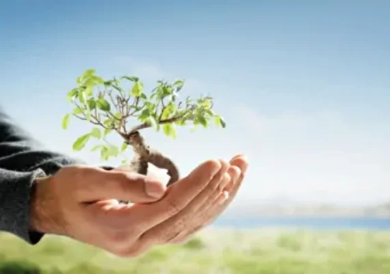 "Comprehensive Guide to Environment Testing Lab Services in India with Kiyo R&D Lab"