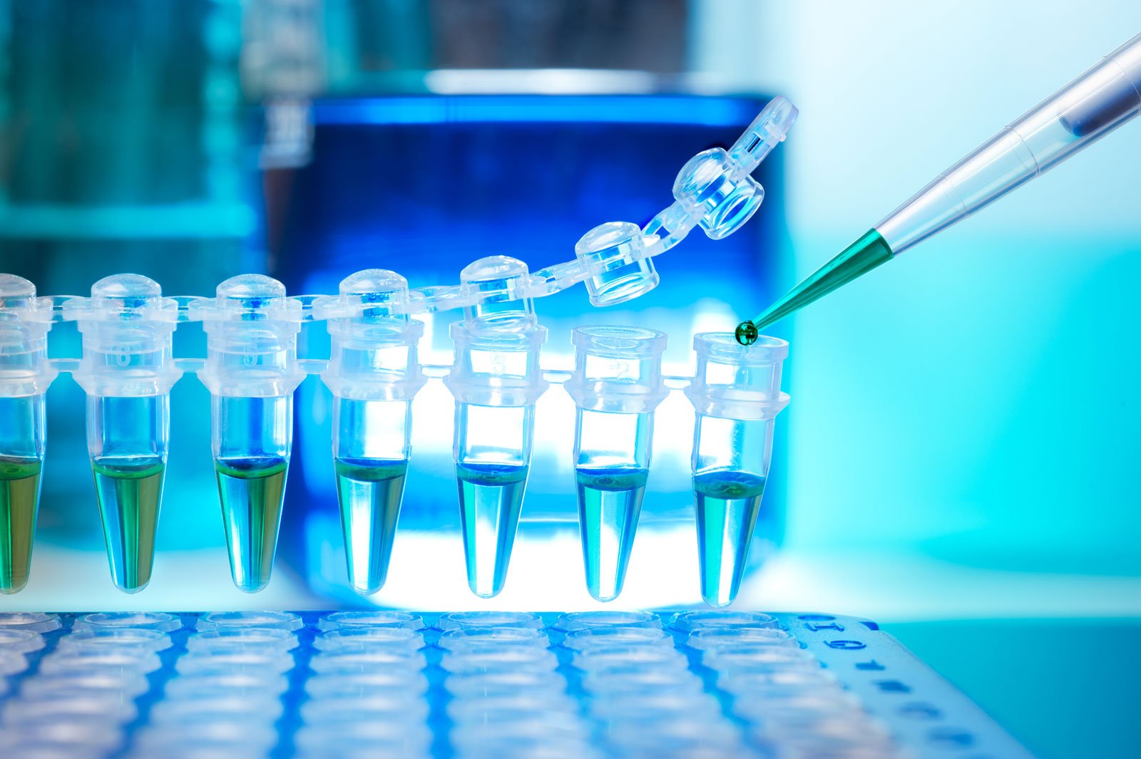 TPE Thermoplastic Elastomer Testing Services