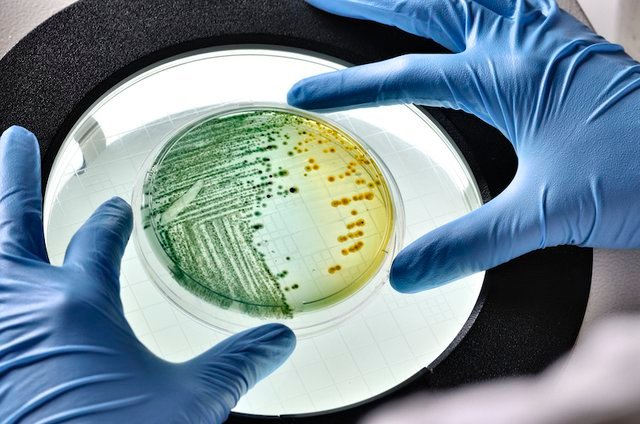 TPE Thermoplastic Elastomer Testing Services